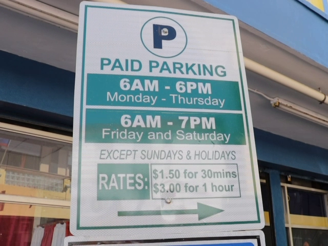 Some Albert Street Businesses Want Parking Meters Gone