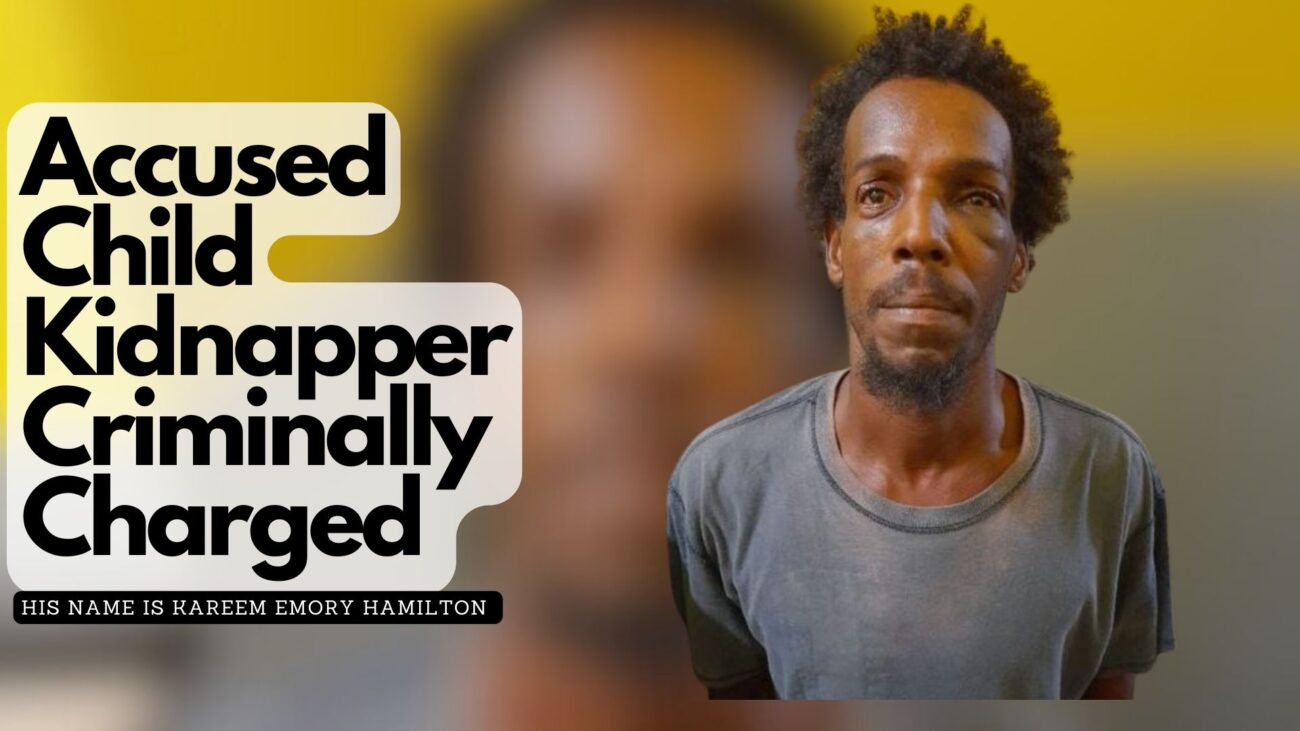 Accused Child Kidnapper Criminally Charged 