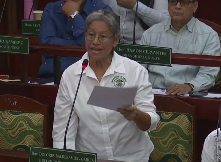 Dolores Balderamos Garcia