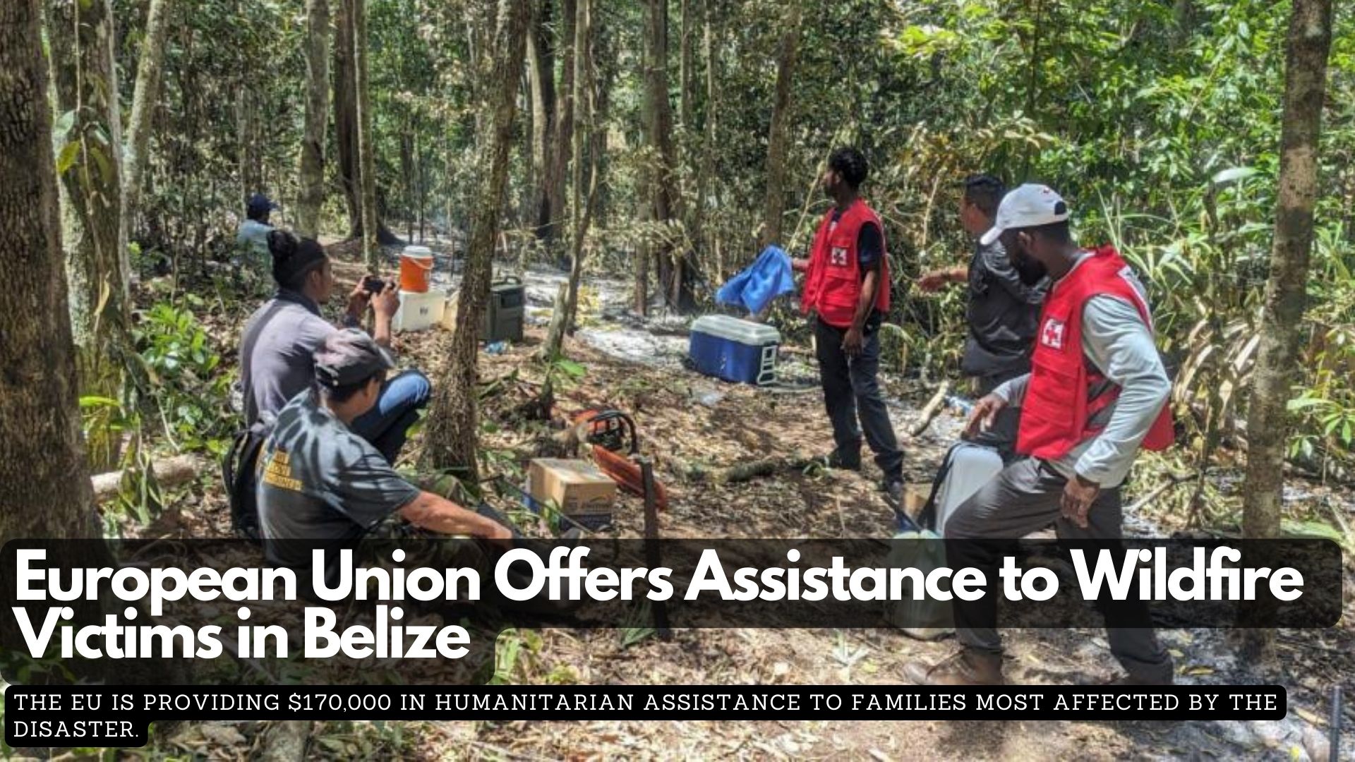 The European Union offers assistance to the victims of the wildfires in Belize