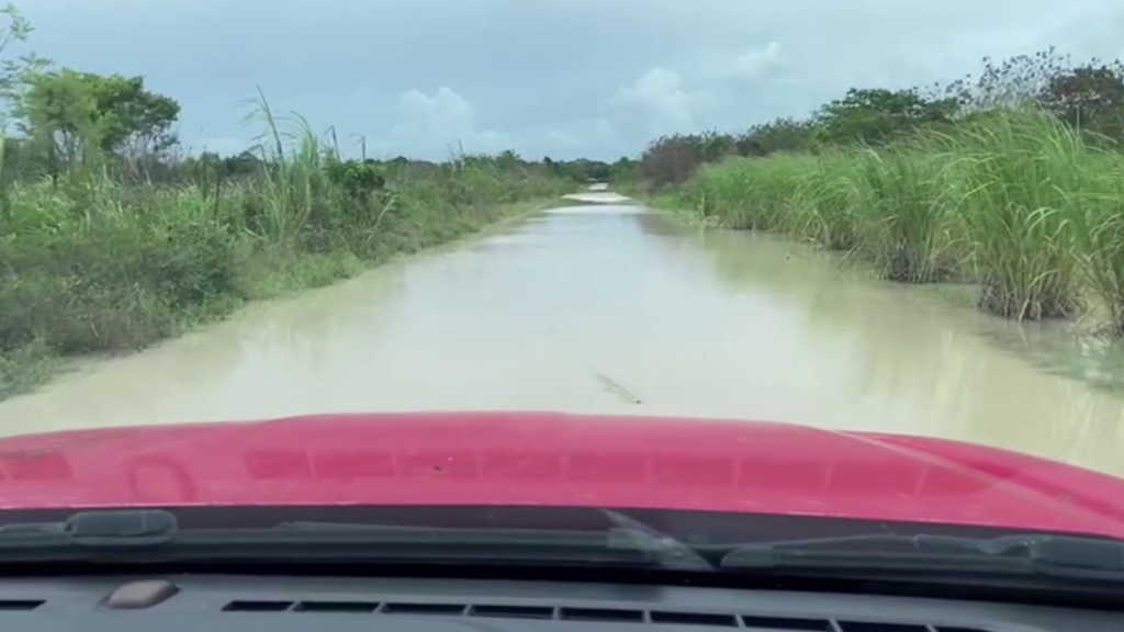 Cane Farmers Suffer Major Losses in Recent Floods | Greater Belize Media