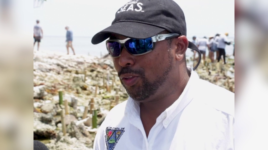 Protecting Belize’s Mangroves | Greater Belize Media