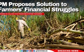 PM Proposes Solution to Farmers' Financial Struggles