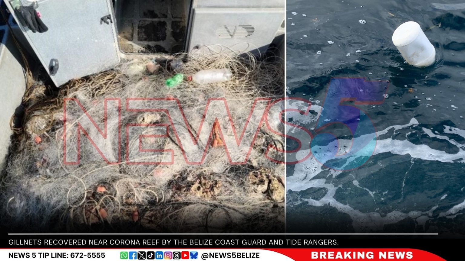 Guatemalan Fishers Continue Using Gillnets in Belize’s Waters | Greater ...