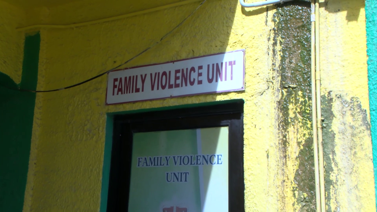 Domestic Violence Unit Renamed Gender-Based Violence Unit | Greater ...