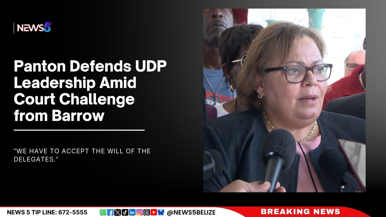 Panton Defends UDP Leadership Amid Court Challenge from Barrow