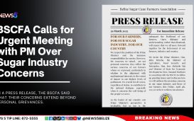 BSCFA Calls for Urgent Meeting with PM Over Sugar Industry Concerns