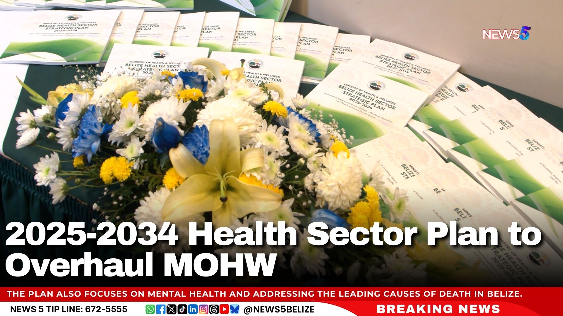 2025-2034 Health Sector Plan to Overhaul MOHW