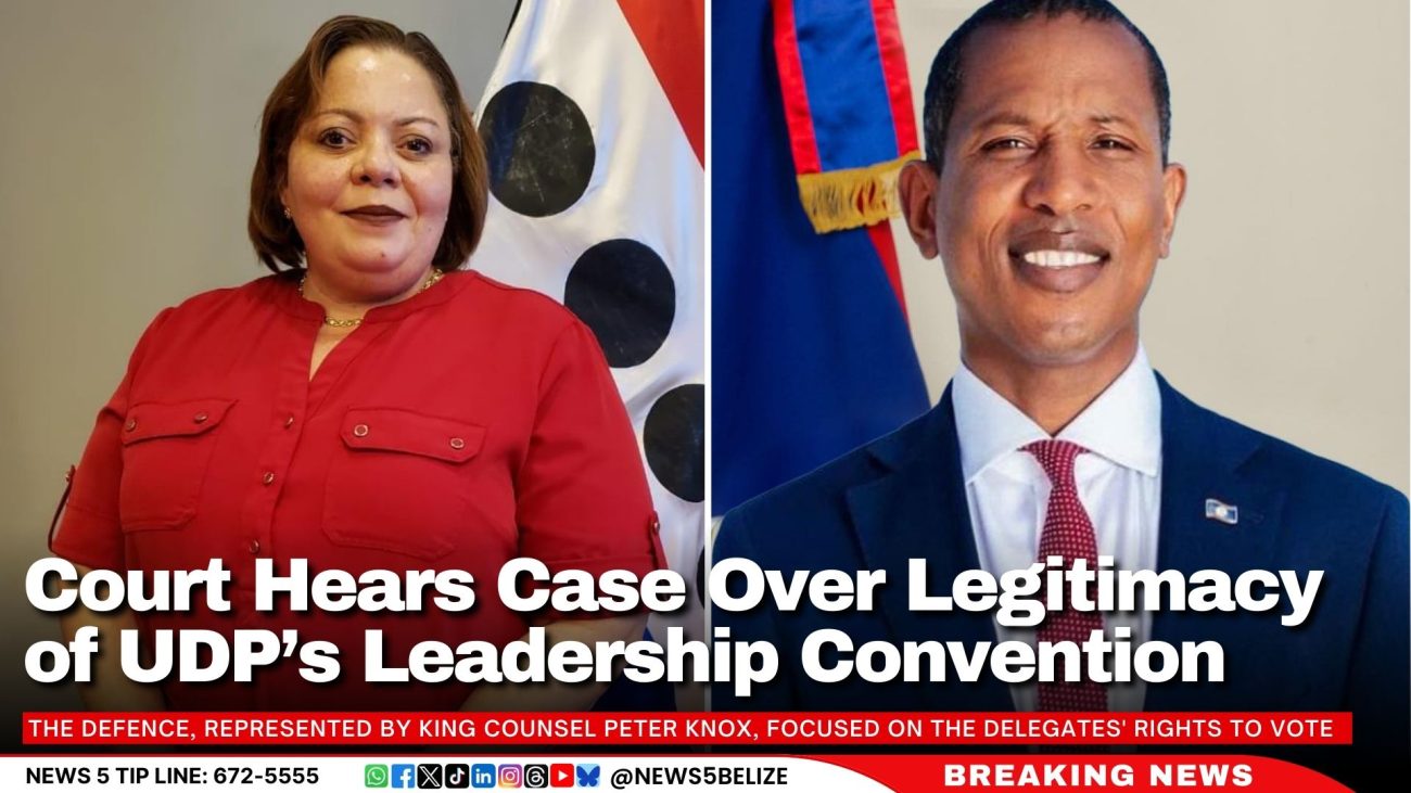 Court Hears Case Over Legitimacy of UDP’s Leadership Convention