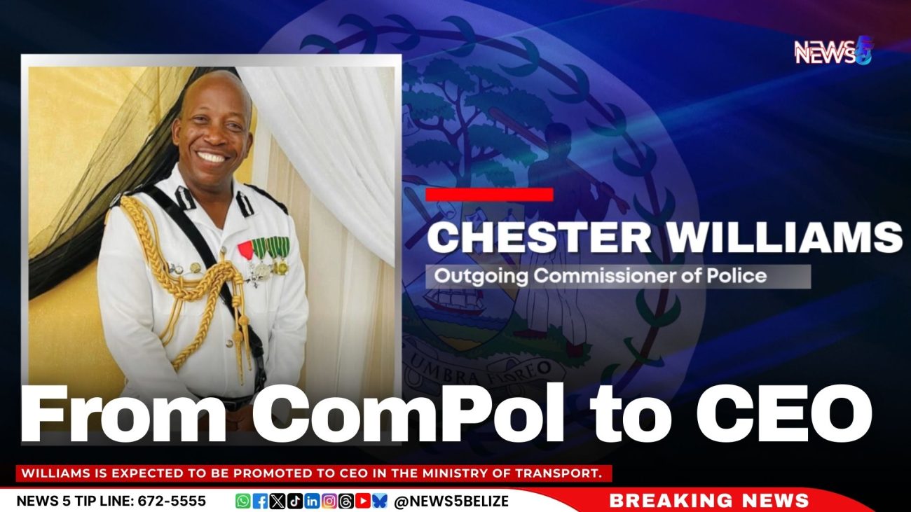 From ComPol to CEO