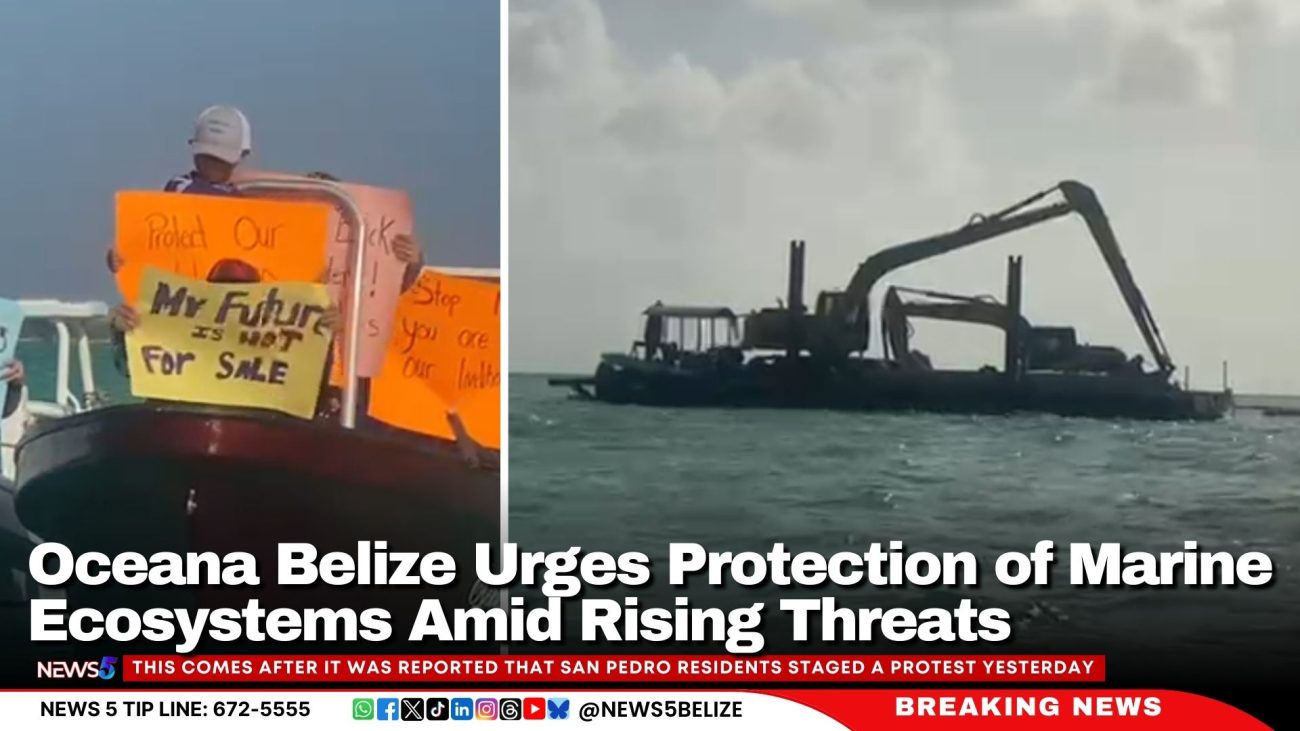 Oceana Belize Urges Protection of Marine Ecosystems Amid Rising Threats