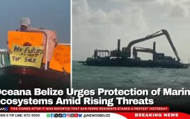 Oceana Belize Urges Protection of Marine Ecosystems Amid Rising Threats