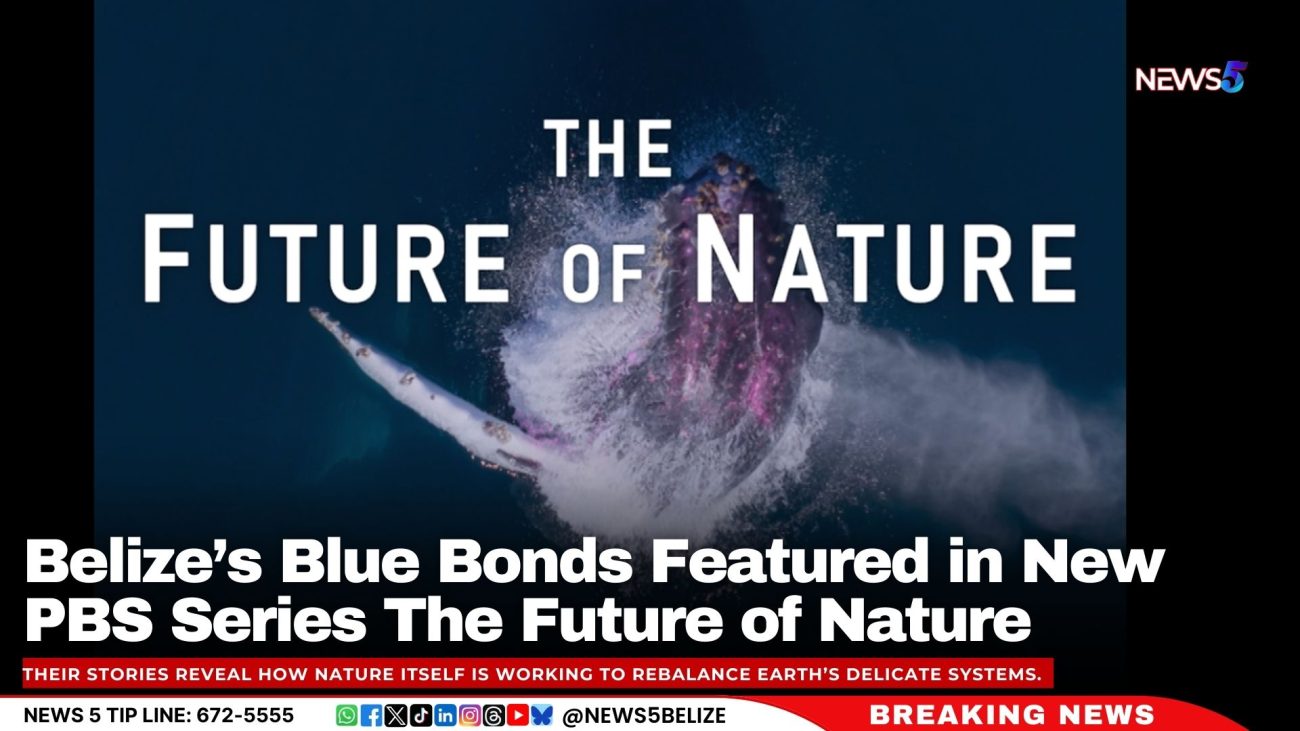 Belize’s Blue Bonds to Be Featured in New PBS Series The Future of Nature