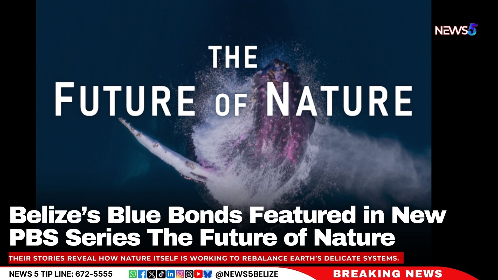 Belize’s Blue Bonds to Be Featured in New PBS Series The Future of Nature