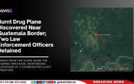 Burnt Drug Plane Discovered Near Guatemala Border; Two Law Enforcement Officers Detained