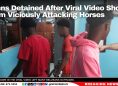 Teens Detained After Viral Video Shows them Viciously Attacking Horses