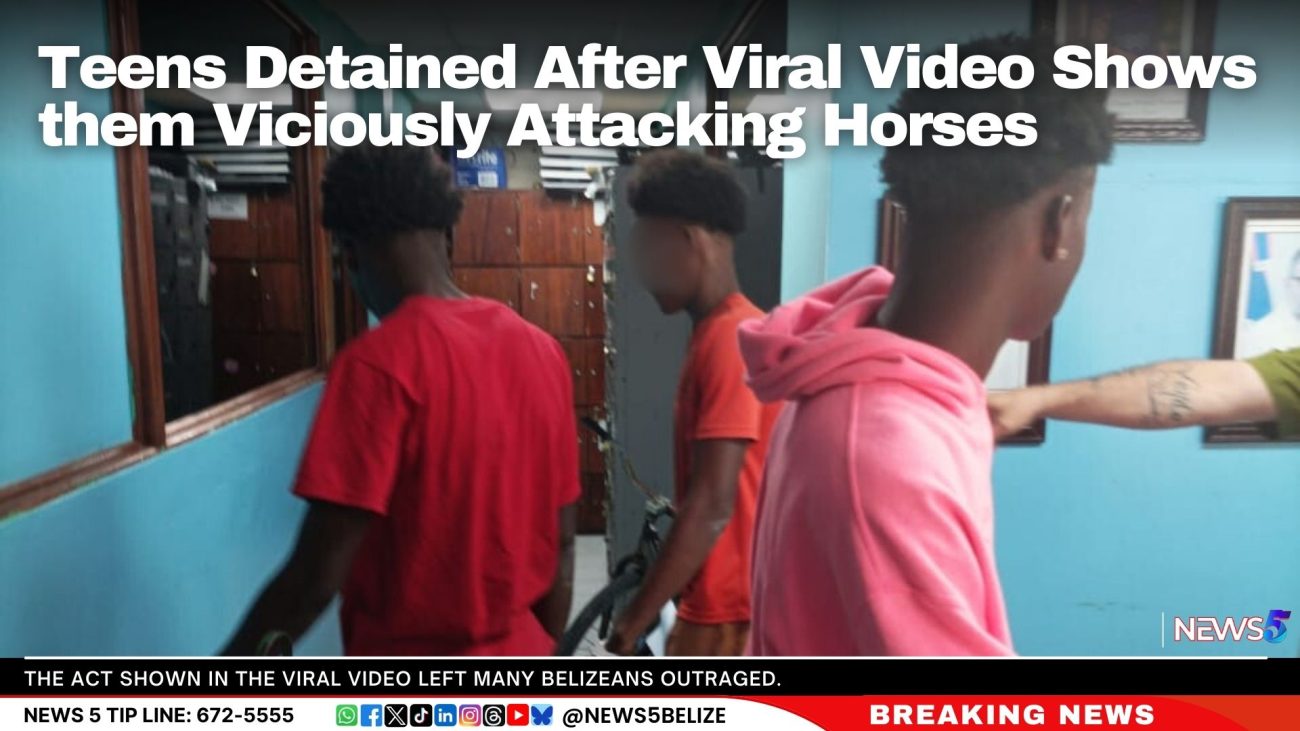 Teens Detained After Viral Video Shows them Viciously Attacking Horses
