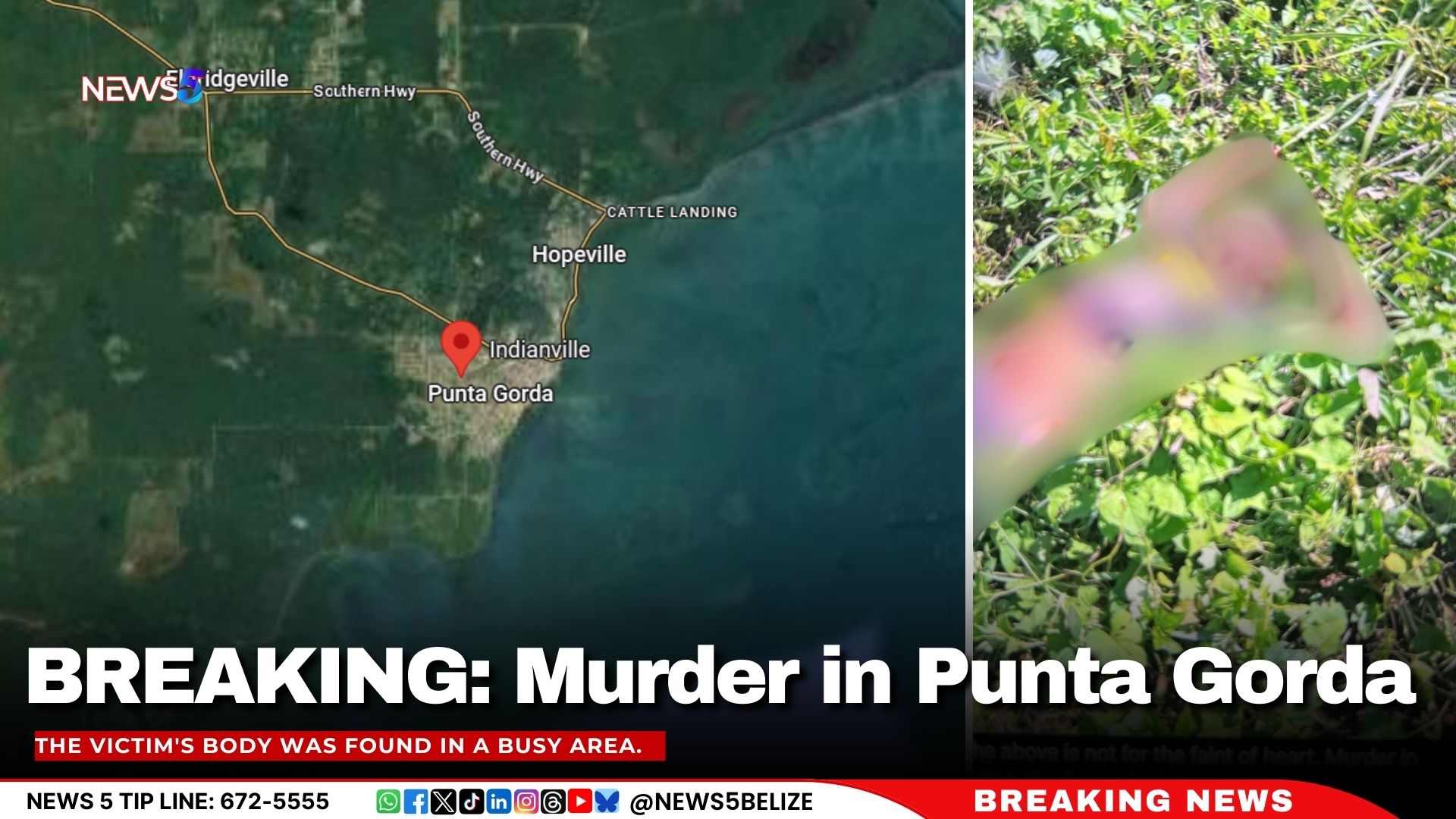 BREAKING: Murder in Punta Gorda