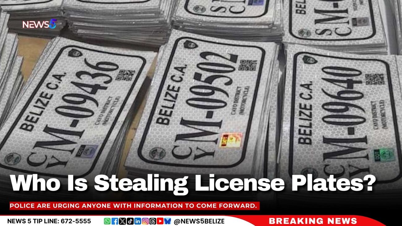 Who Is Stealing License Plates?