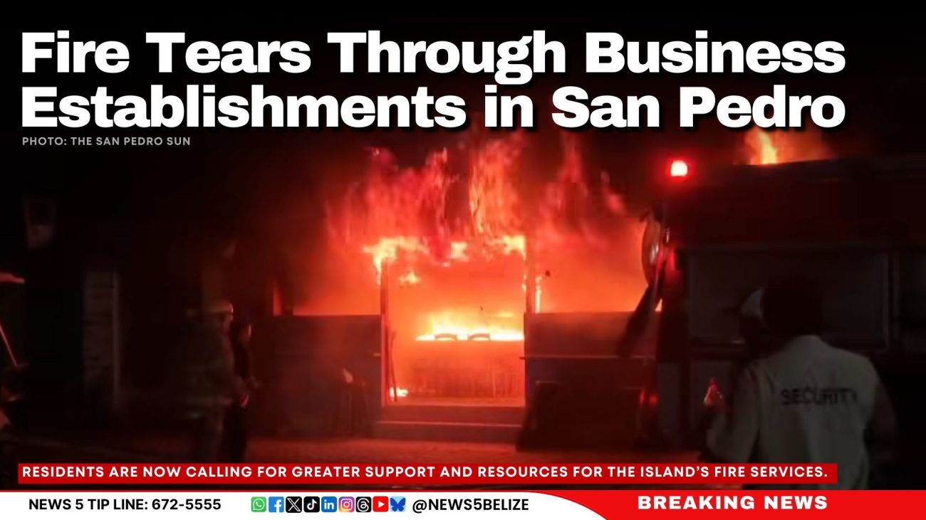Fire Tears Through Business Establishments in San Pedro