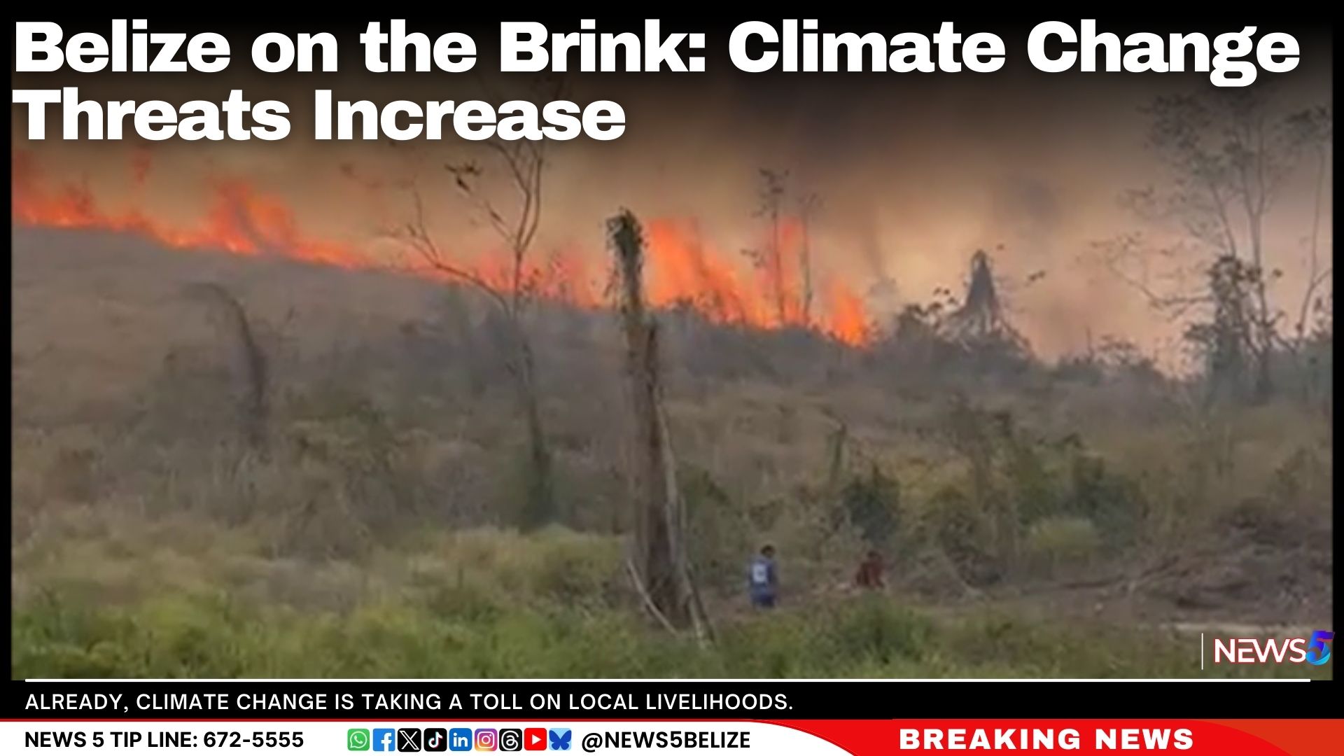 Belize on the Brink: Climate Change Threatens Coastlines, Culture, and Food Security