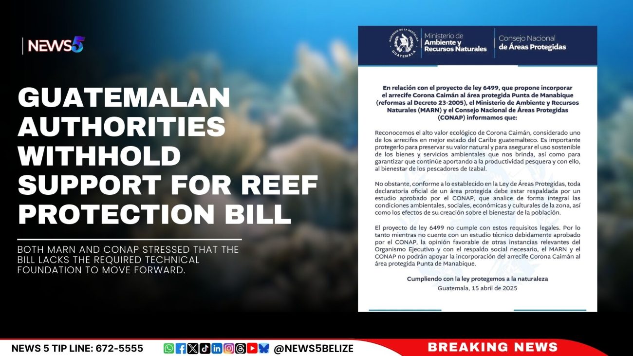 Guatemalan Authorities Withhold Support for Reef Protection Bill