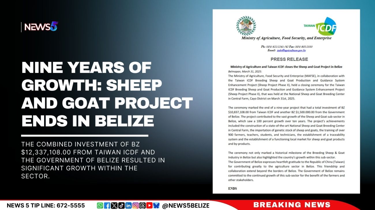 Nine Years of Growth: Sheep and Goat Project Ends in Belize