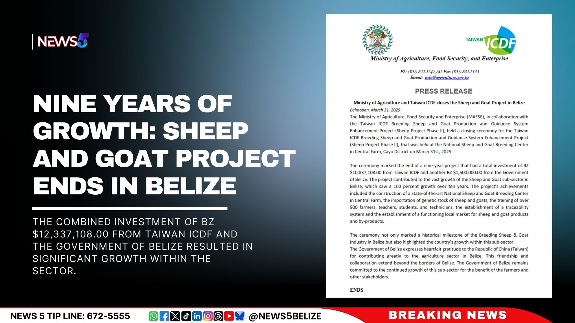 Nine Years of Growth: Sheep and Goat Project Ends in Belize