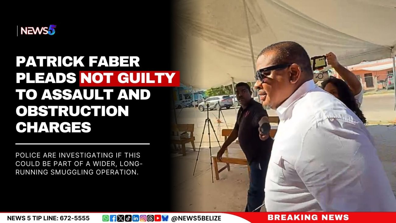 Patrick Faber Pleads Not Guilty to Assault and Obstruction Charges