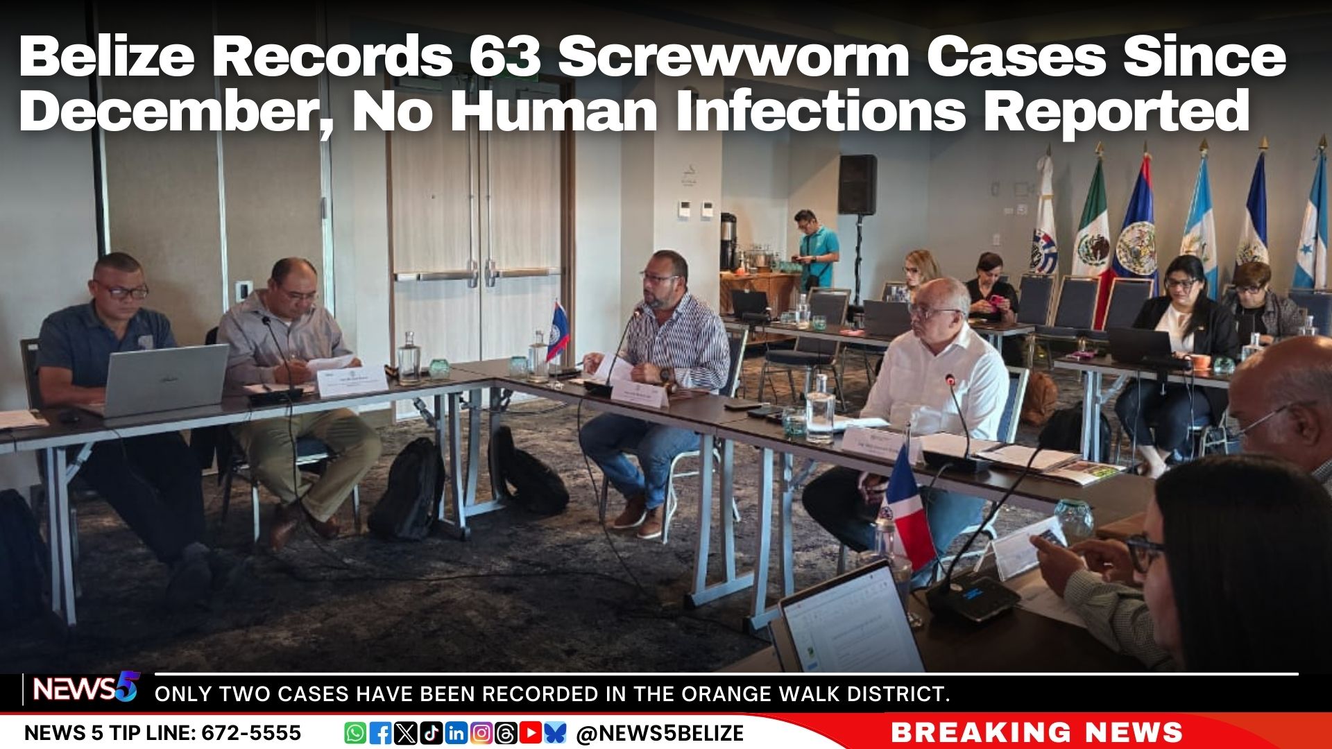 Belize Records 63 Screwworm Cases Since December, No Human Infections Reported