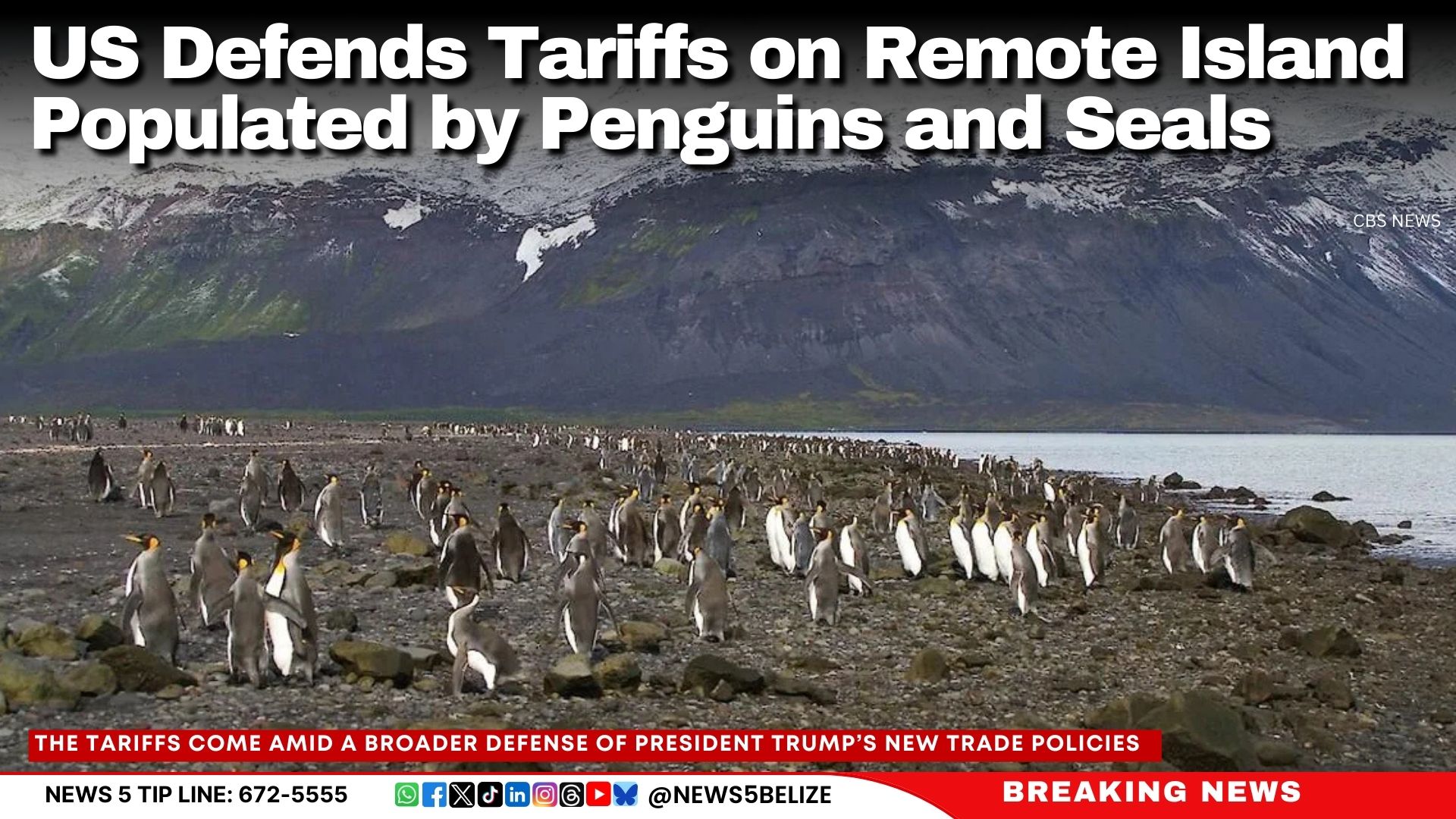 US Defends Tariffs on Remote Island Populated by Penguins and Seals