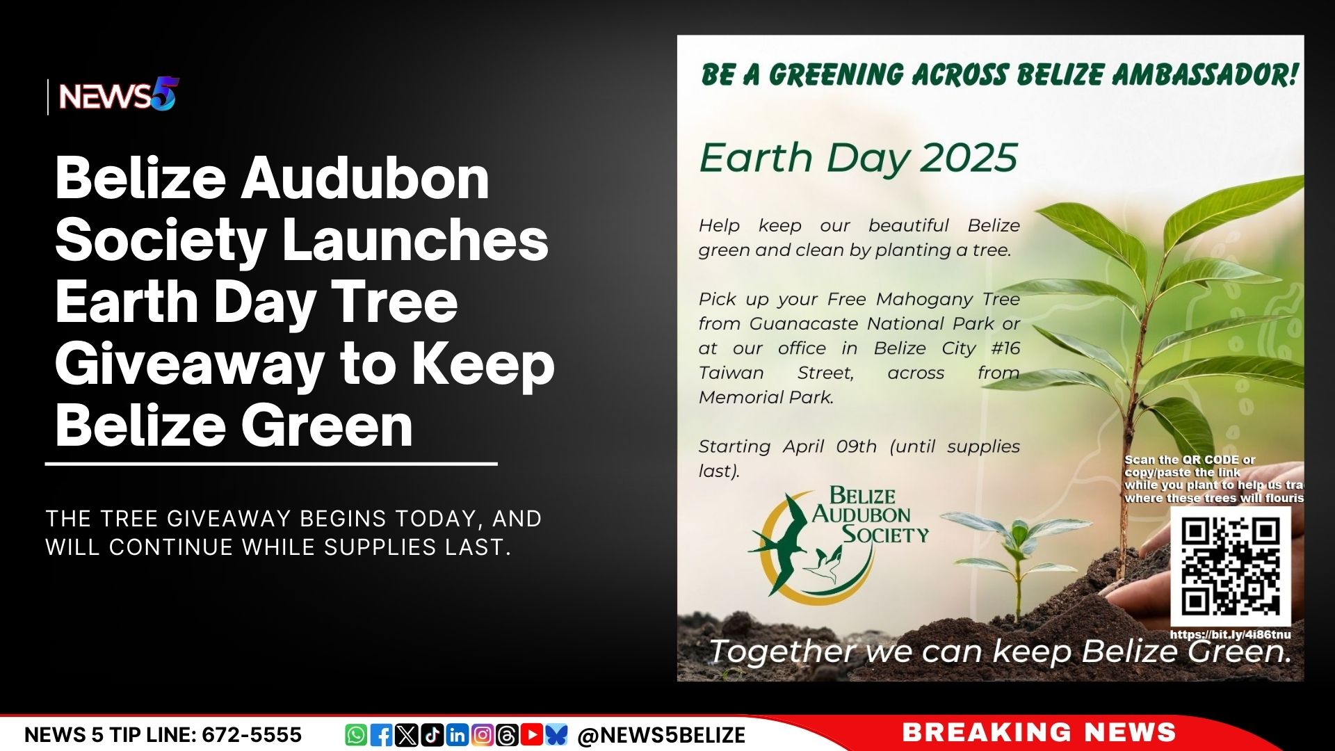 Belize Audubon Society Launches Earth Day Tree Giveaway to Keep Belize Green