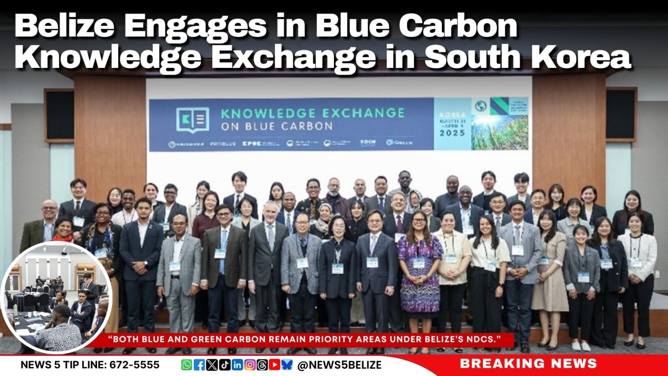 Belize Engages in Blue Carbon Knowledge Exchange in South Korea