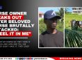 Horse Owner Speaks Out After Beloved Horse Brutally Attacked: “I Feel It in Me”