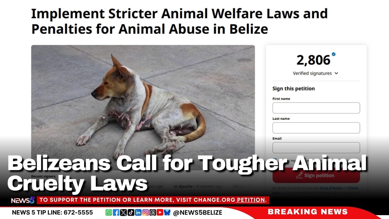Belizeans Call for Tougher Animal Cruelty Laws