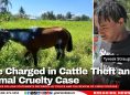 Five Charged in Cattle Theft and Animal Cruelty Case