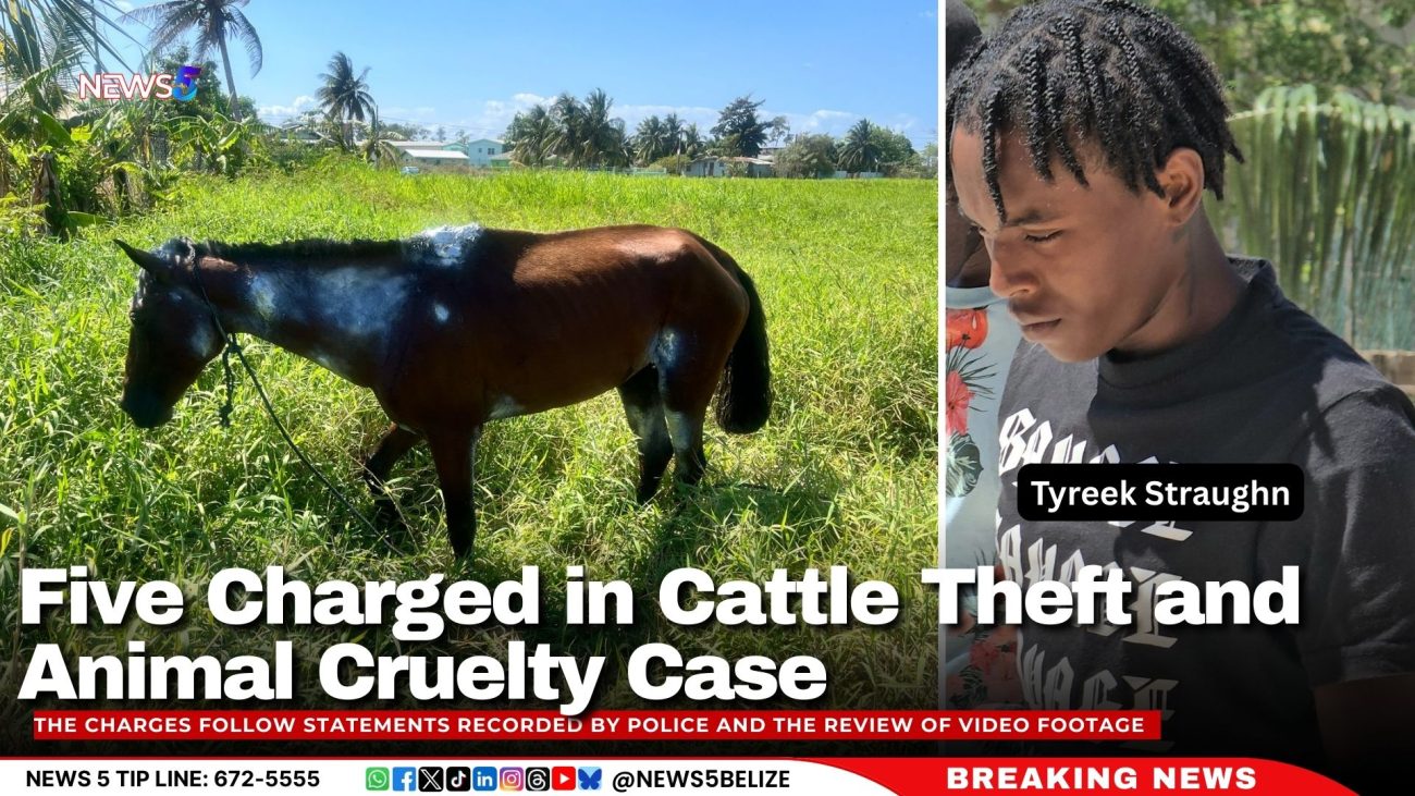 Five Charged in Cattle Theft and Animal Cruelty Case