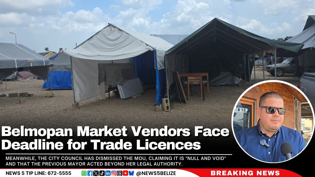 Belmopan Market Vendors Face April 15 Deadline for Individual Trade Licences