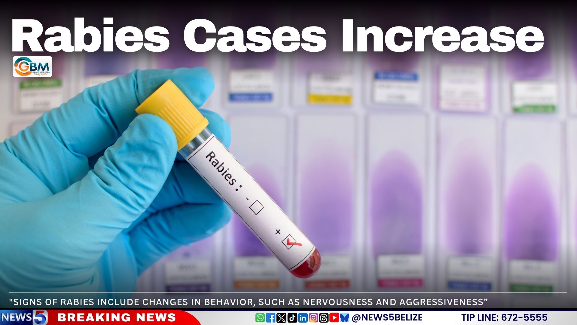 Rabies Cases Increase