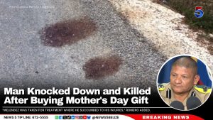 Man Knocked Down and Killed After Buying Mother’s Day Gift