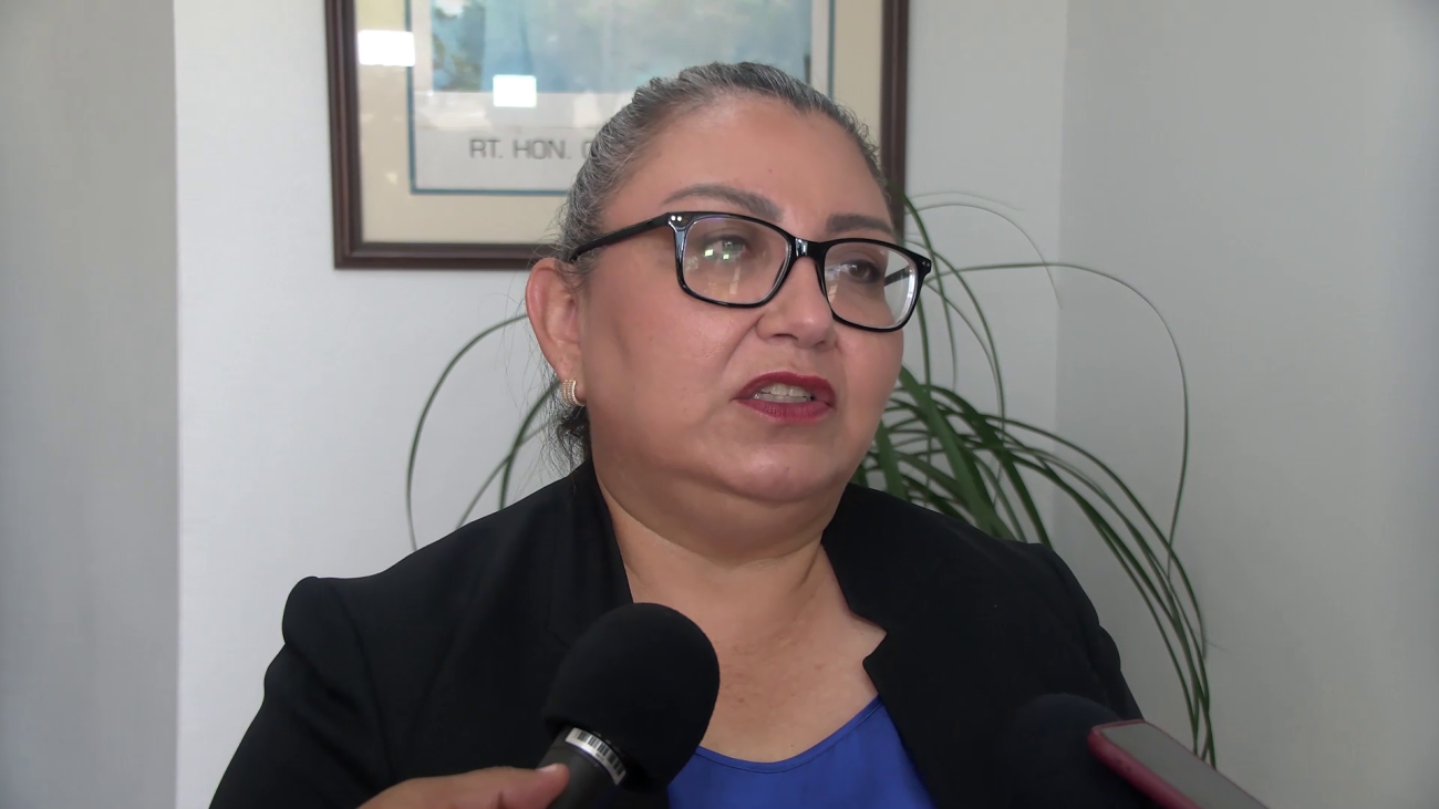 Niña de 14 años en Custodia Estatal Tras Declararse en Peligro
