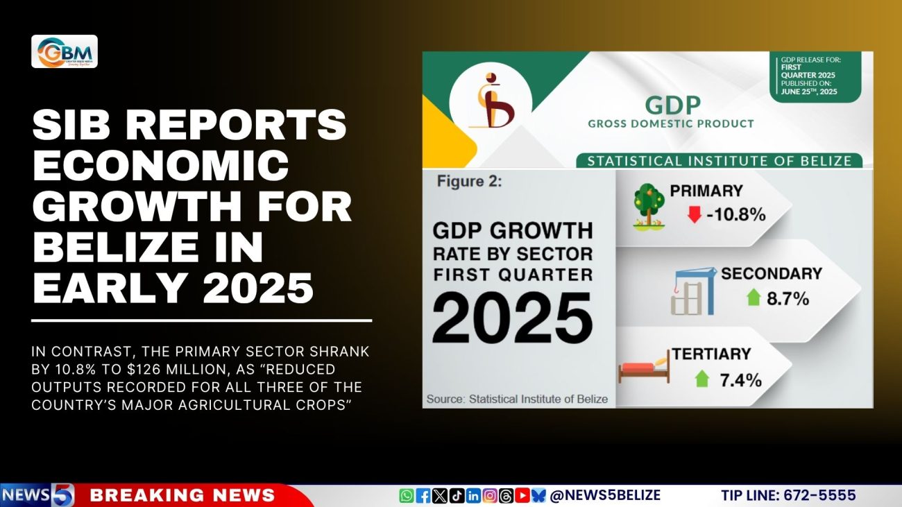 SIB Reports Economic Growth for Belize in Early 2025