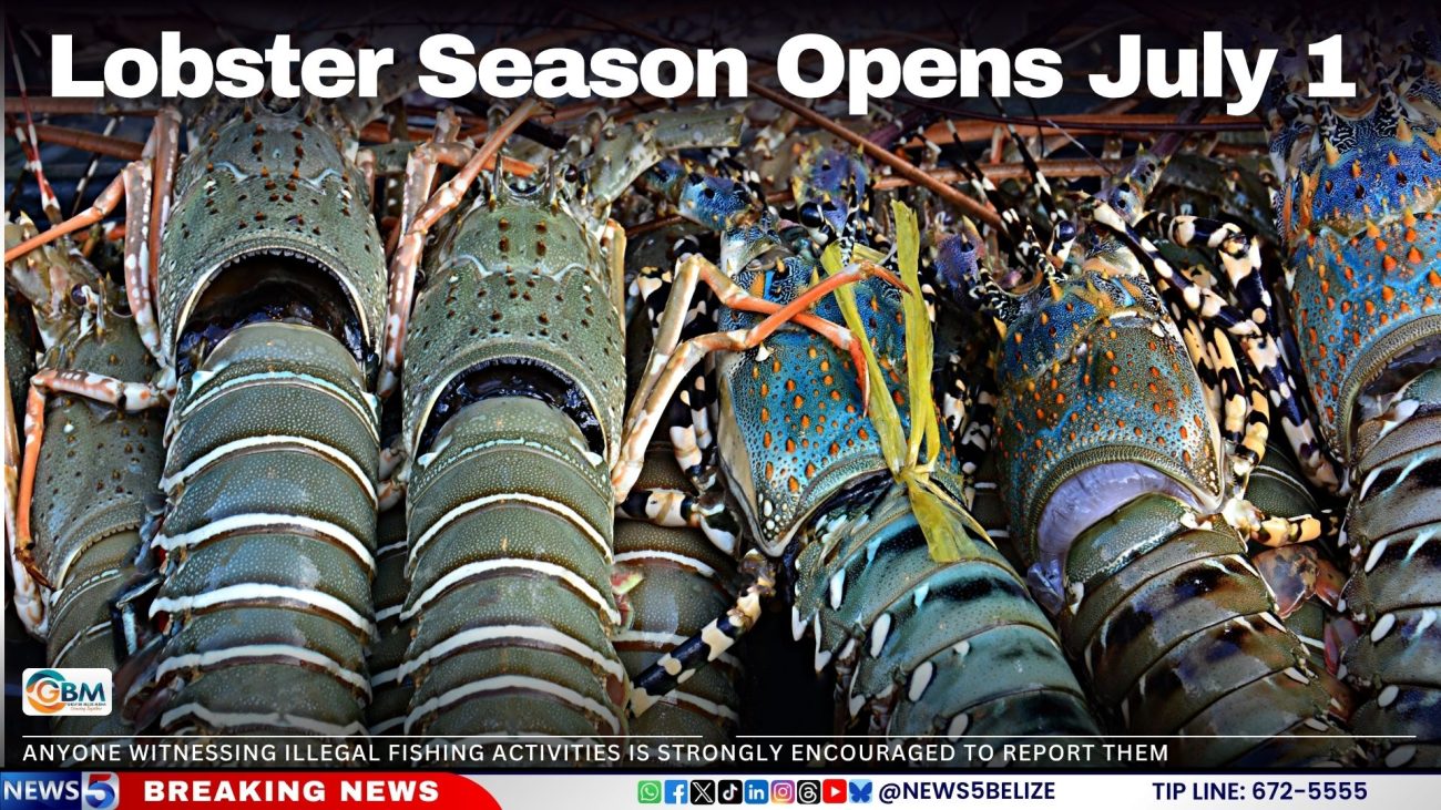 Lobster Season Opens July 1