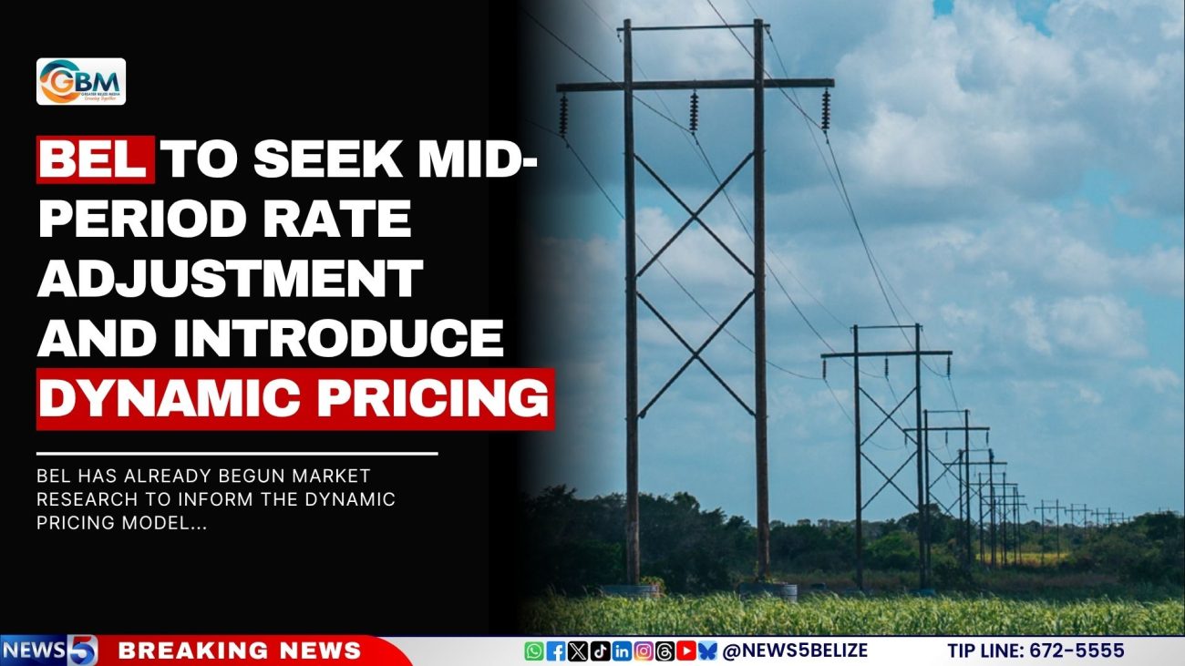 BEL to Seek Mid-Period Rate Adjustment and Introduce Dynamic Pricing