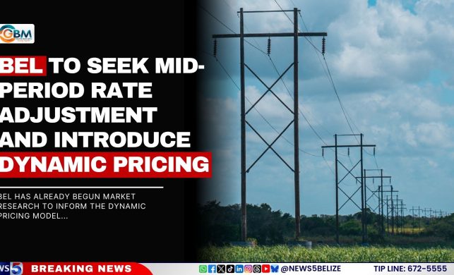 BEL to Seek Mid-Period Rate Adjustment and Introduce Dynamic Pricing
