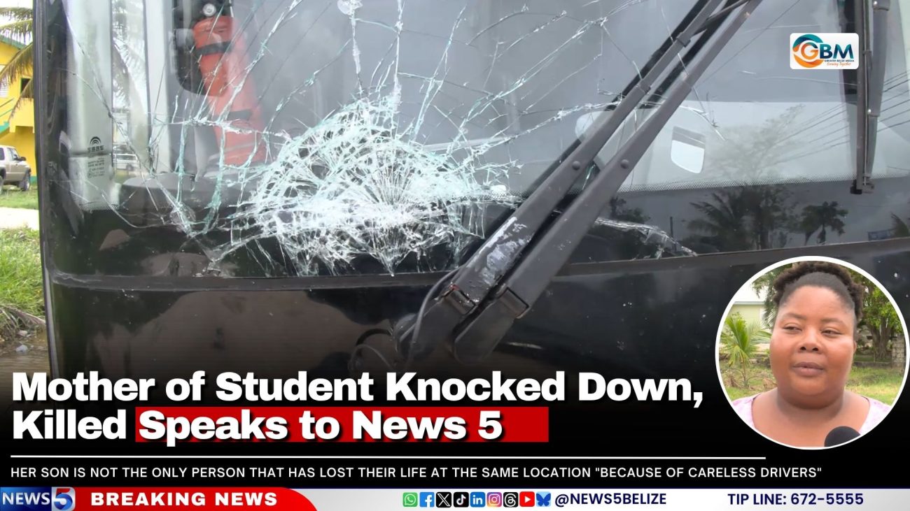 Mother of Student Knocked Down, Killed Speaks to News 5