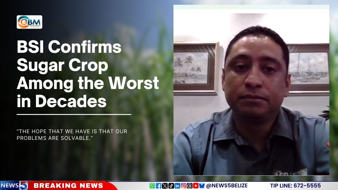 BSI Confirms Sugar Crop Among the Worst in Decades