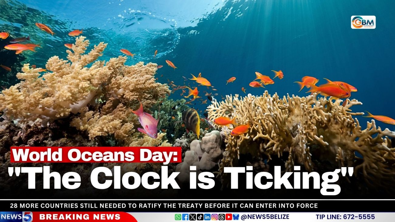 World Oceans Day: "The Clock is Ticking"
