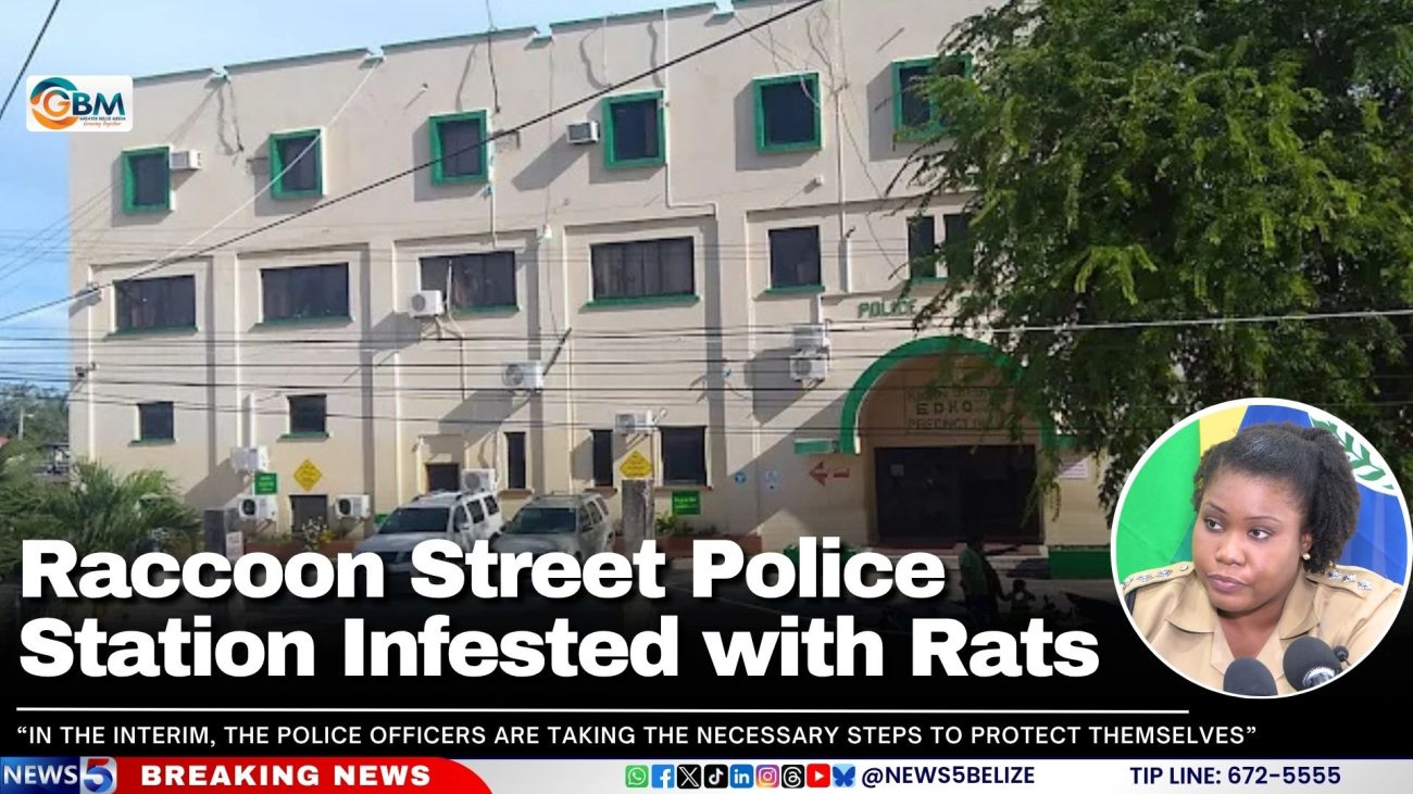 Raccoon Street Police Station Infested with Rats