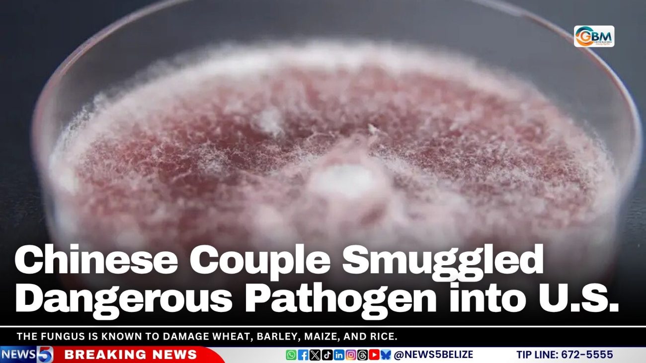 Chinese Couple Smuggled Dangerous Pathogen into U.S.